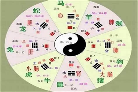 天上火命好不好|八字納音五行解析——天上火